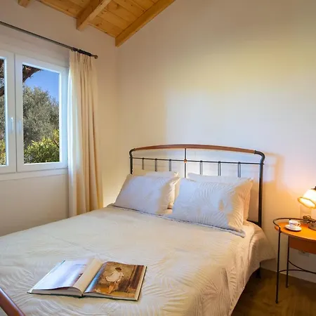 Poly's Lefkada Apartment Apolpaina