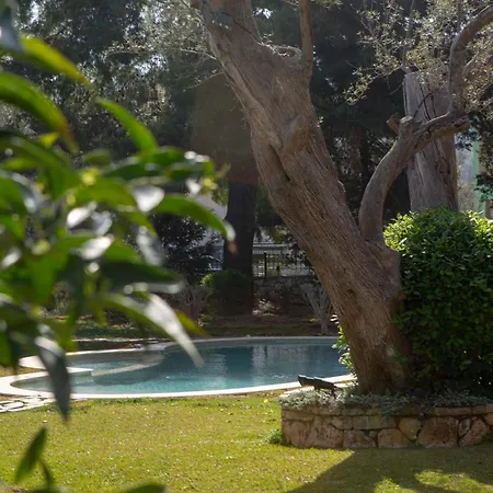 Apartment Poly's Lefkada Apolpaina