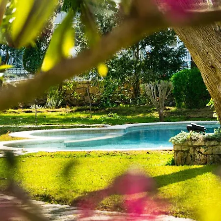 Apartment Poly's Lefkada
