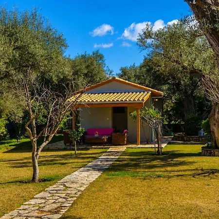 Poly's Lefkada Apartment Apolpaina